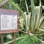 Quinta Do Castelo - Casa De Pedra Εξοχικό σπίτι Reguengo Grande