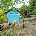 Quinta Do Castelo - Casa De Pedra Εξοχικό σπίτι Reguengo Grande