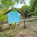 Quinta Do Castelo - Casa De Pedra *