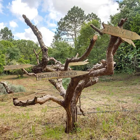 Quinta Do Castelo - Casa De Pedra Villa Reguengo Grande
