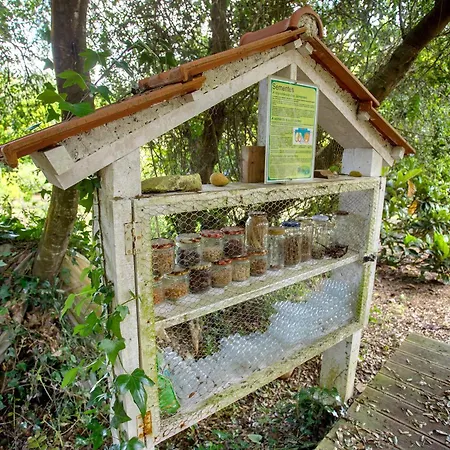 Quinta Do Castelo - Casa De Pedra Villa Reguengo Grande