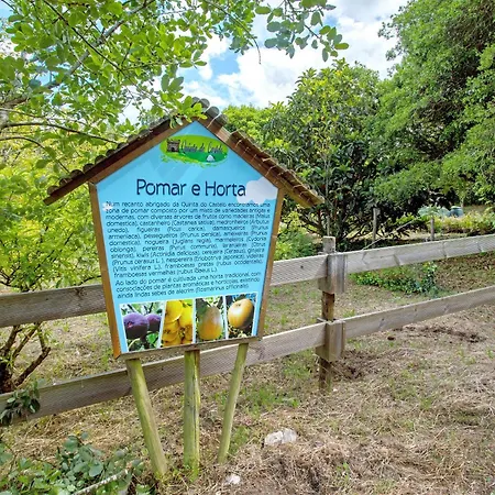 Quinta Do Castelo - Casa De Pedra *