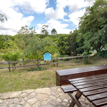 Quinta Do Castelo - Casa De Pedra Летний дом *