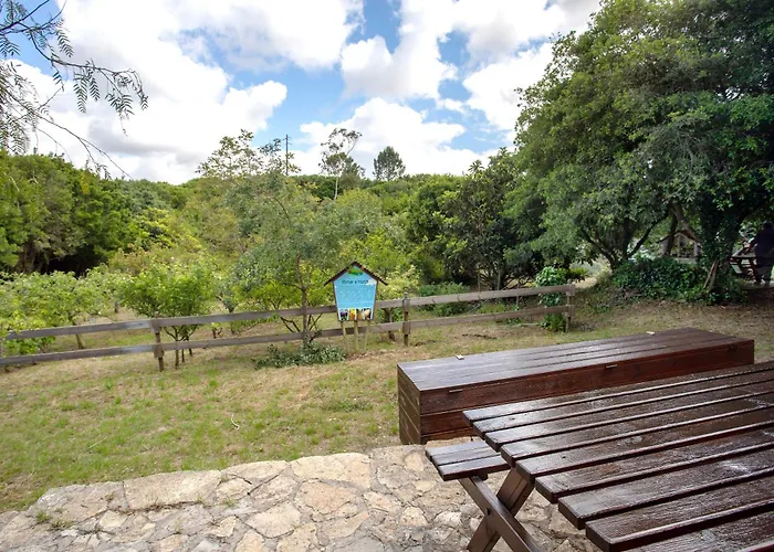 Landsted Quinta Do Castelo - Casa De Pedra Reguengo Grande
