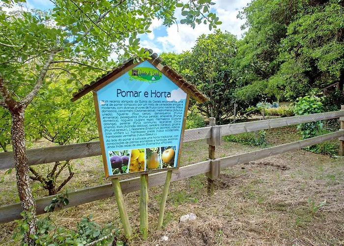 Quinta Do Castelo - Casa De Pedra Landsted Reguengo Grande